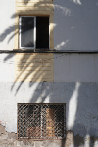 DSC05494